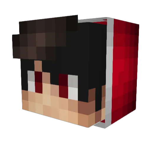 Domse4Real Minecraft avatar head, 3D render