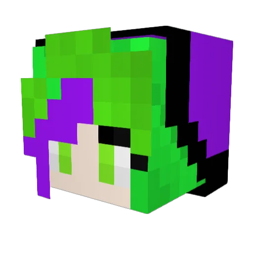 Domsssss Minecraft avatar head, 3D render