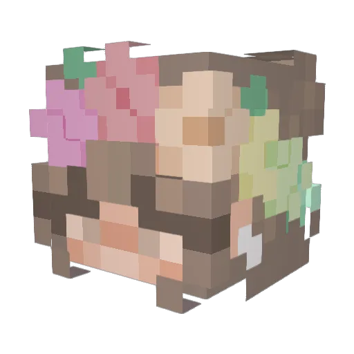 Domxox Minecraft avatar head, 3D render