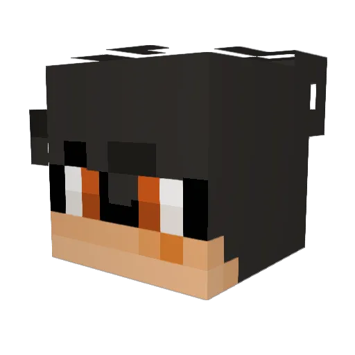 Domzilla7878 Minecraft avatar head, 3D render