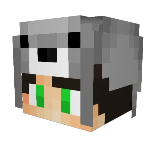 Don66528 Minecraft avatar head, 3D render