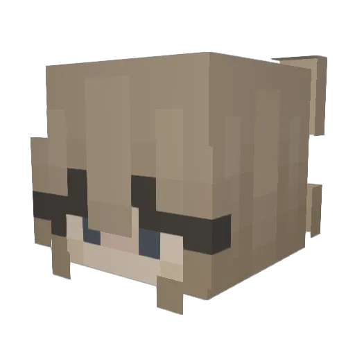 DonChristian007 Minecraft avatar head, 3D render