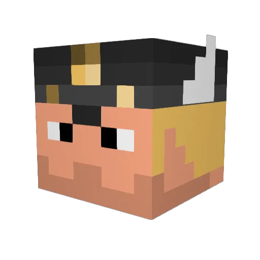 DonDeal Minecraft avatar head, 3D render
