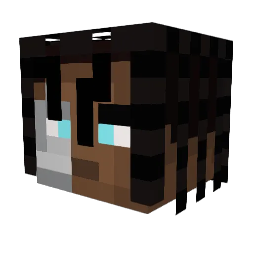 DonFlaiteano Minecraft avatar head, 3D render