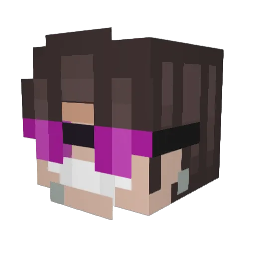 DonJanozi Minecraft avatar head, 3D render