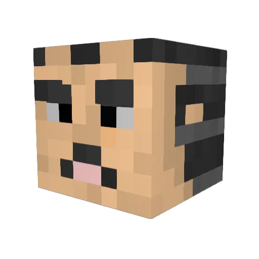 DonJayson Minecraft avatar head, 3D render