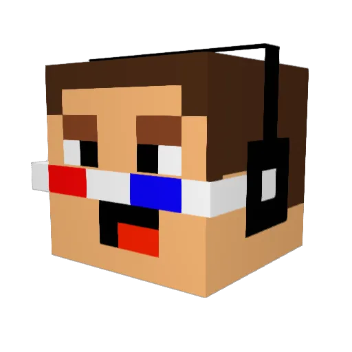 DonNYC98 Minecraft avatar head, 3D render