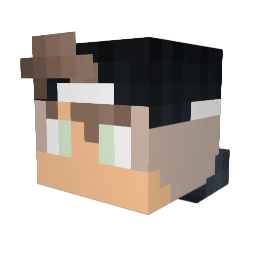 DonPapaDidi Minecraft avatar head, 3D render