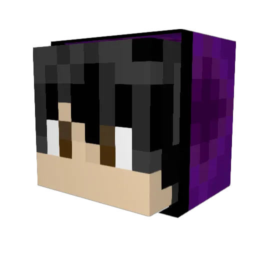 DonPolloconpica Minecraft avatar head, 3D render