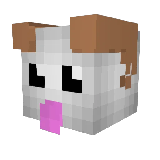 DonPoro Minecraft avatar head, 3D render