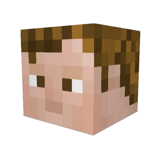 DonQuixote1774 Minecraft avatar head, 3D render