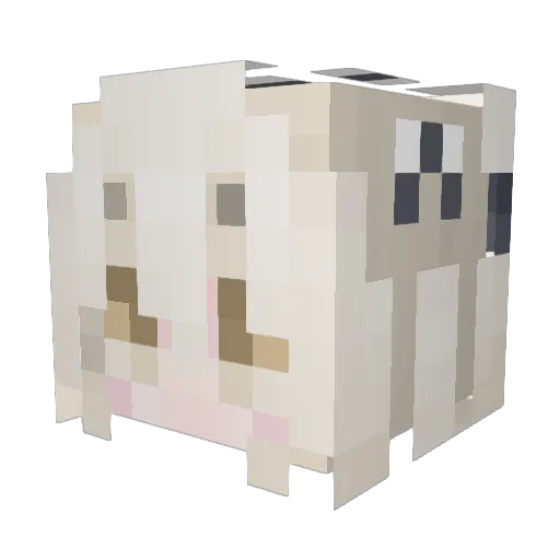DonQuixote2008 Minecraft avatar head, 3D render
