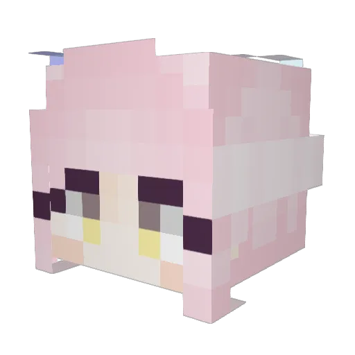 DonQuixote2717 Minecraft avatar head, 3D render