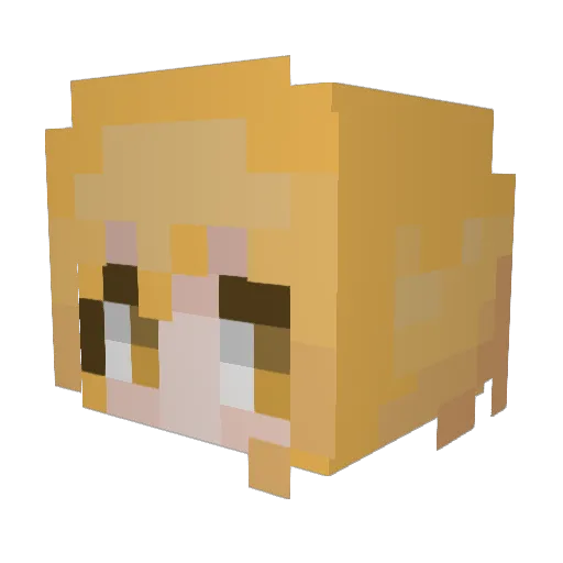 DonQuixoteF Minecraft avatar head, 3D render
