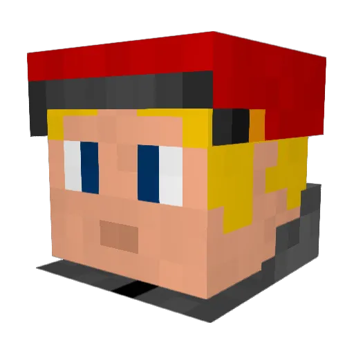 DonReitan Minecraft avatar head, 3D render