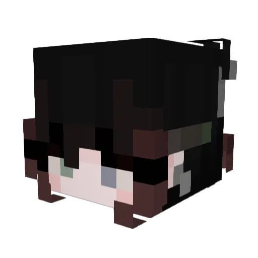 DonSCAT Minecraft avatar head, 3D render