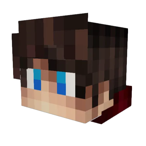 DonTbeJealous Minecraft avatar head, 3D render