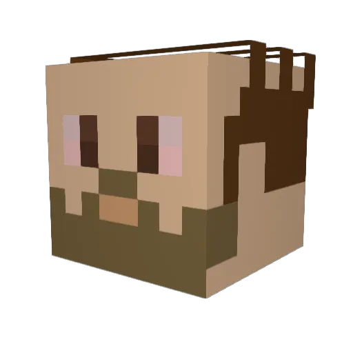 DonTheDres Minecraft avatar head, 3D render
