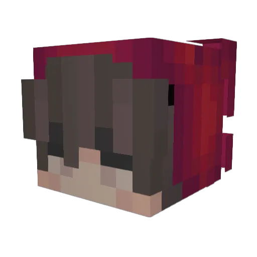 DonTok1o Minecraft avatar head, 3D render