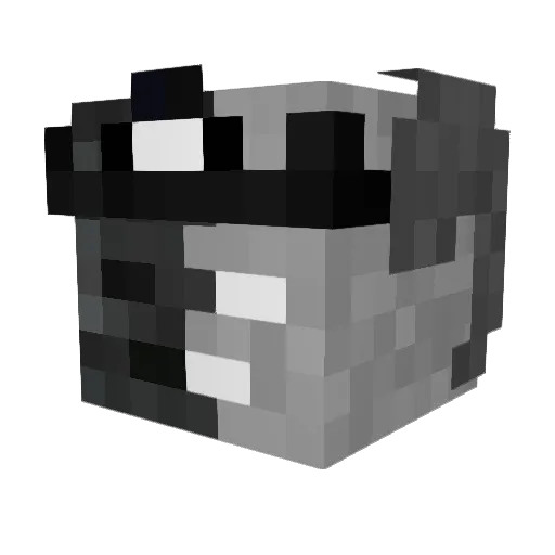 DonTonteria Minecraft avatar head, 3D render