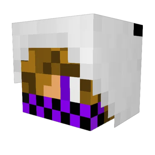 DonWhiskey Minecraft avatar head, 3D render