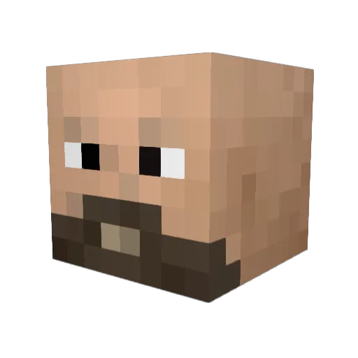 DonWiley Minecraft avatar head, 3D render