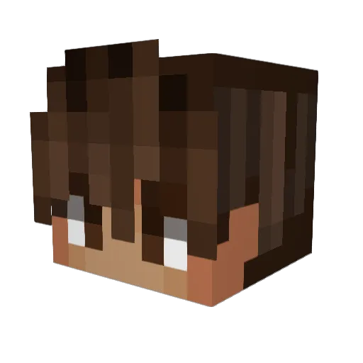 DonZer0 Minecraft avatar head, 3D render
