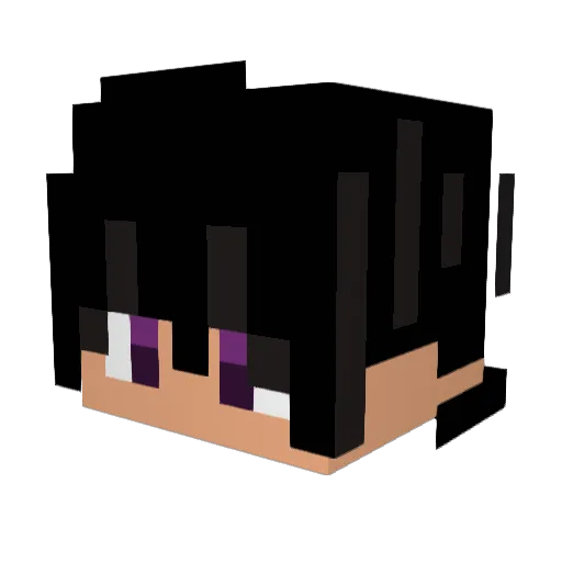 Don_Baldo Minecraft avatar head, 3D render