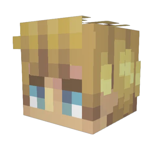 Don_Catweazle Minecraft avatar head, 3D render