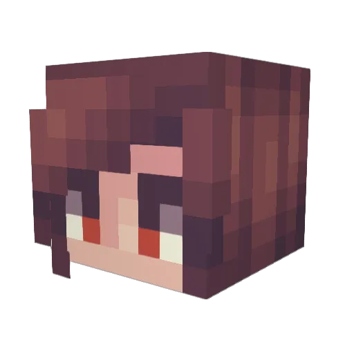 Don_Donis Minecraft avatar head, 3D render