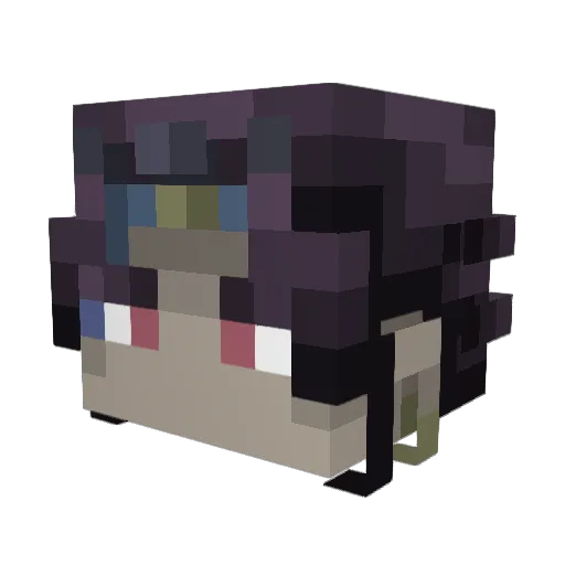 Don_Fuccus Minecraft avatar head, 3D render