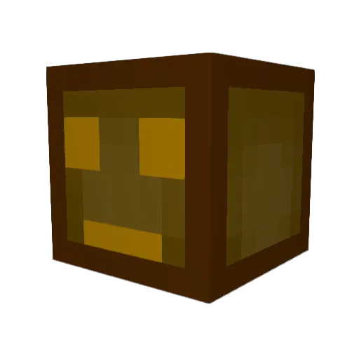 Don_Moahskarton Minecraft avatar head, 3D render