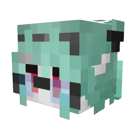 Don_Tu307 Minecraft avatar head, 3D render
