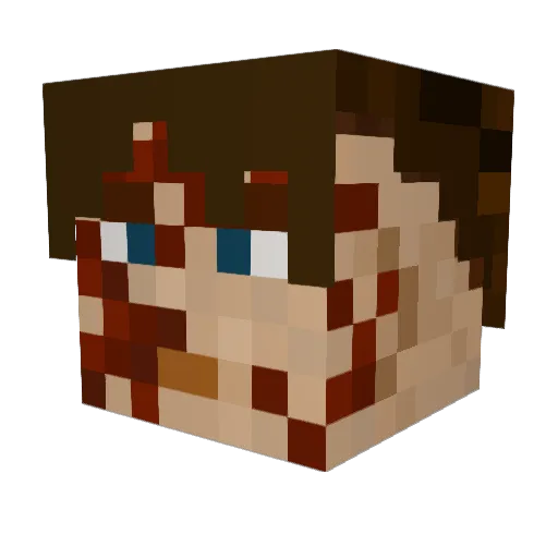 Don__MC Minecraft avatar head, 3D render