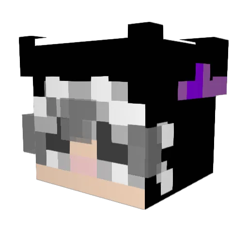 DonaDM Minecraft avatar head, 3D render
