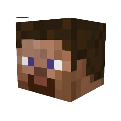 Donald5959 Minecraft avatar head, 3D render