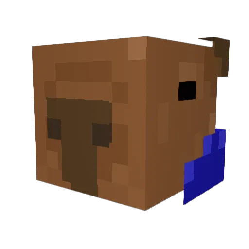 Donald6484 Minecraft avatar head, 3D render