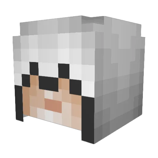 DonaldDrunk Minecraft avatar head, 3D render