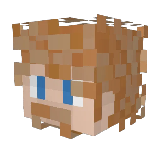 DonaldDuckITH Minecraft avatar head, 3D render