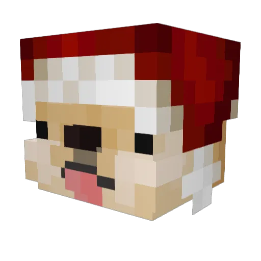 DonaldMC Minecraft avatar head, 3D render