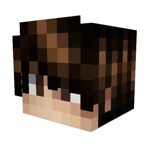 DonaldPrime Minecraft avatar head, 3D render