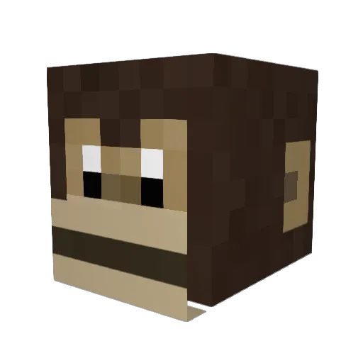 DonaldTrumps Minecraft avatar head, 3D render