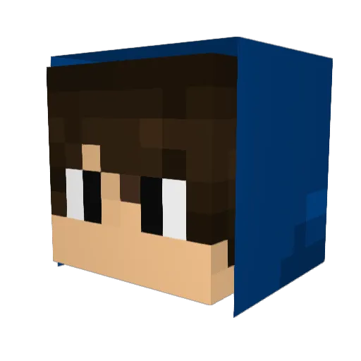 Donald_Duck_1 Minecraft avatar head, 3D render