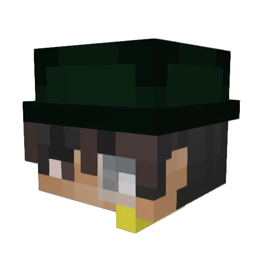 Donald_JoeBama Minecraft avatar head, 3D render