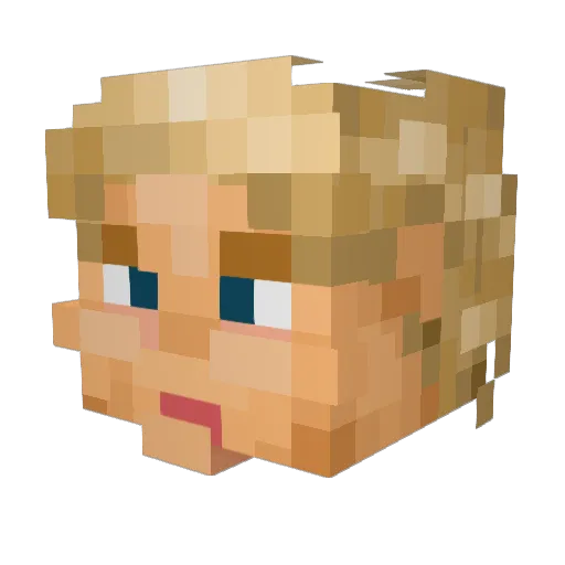 Donald_T_r_u_m_p Minecraft avatar head, 3D render