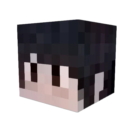 Donald_Trum_886 Minecraft avatar head, 3D render