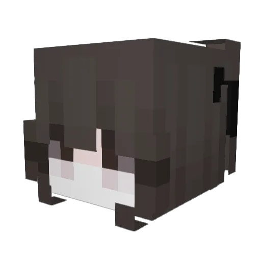 Donald__trumpet Minecraft avatar head, 3D render