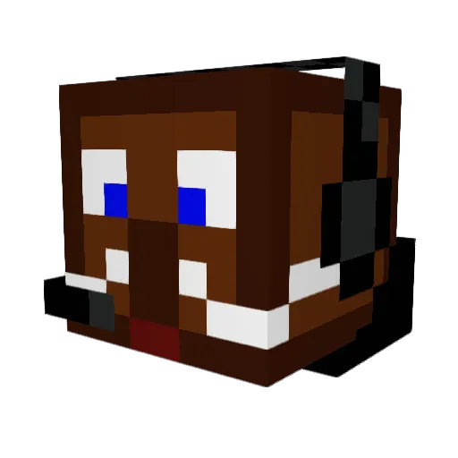 Donaldtheduck14 Minecraft avatar head, 3D render