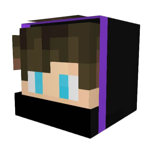 Donaltin Minecraft avatar head, 3D render