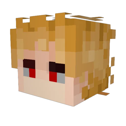 Donariz Minecraft avatar head, 3D render